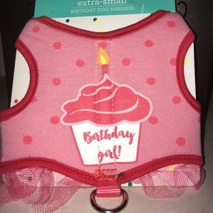 NEW! Birthday Girl Dog Harness Size XS